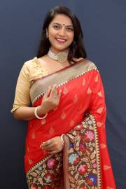 PAITHANI HOUSE  RAJ TILAK